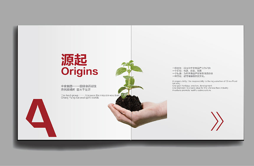 單位畫冊(cè)設(shè)計(jì)選擇一家合適的國際品牌設(shè)計(jì)